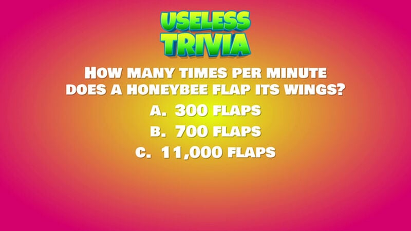 Useless Trivia Round Four